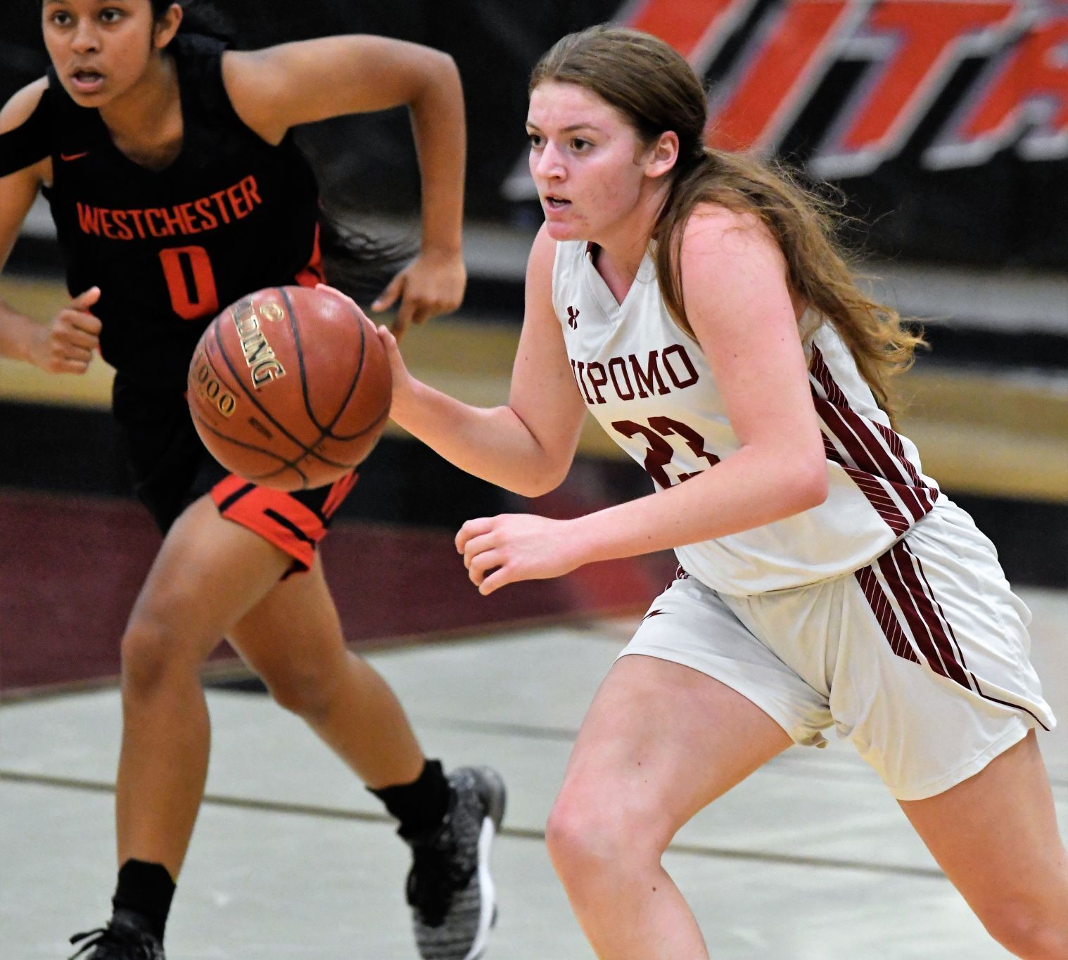 All-Area 01